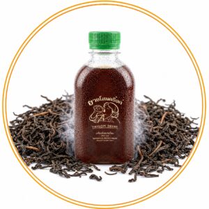 น้ำโอเลี้ยงยายโสม(สูตรหวานน้อย350ml)